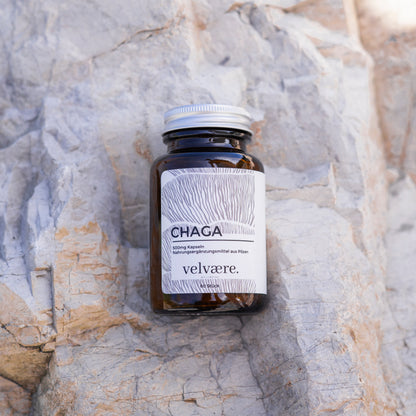 Velvaere BIO Chaga Kapseln