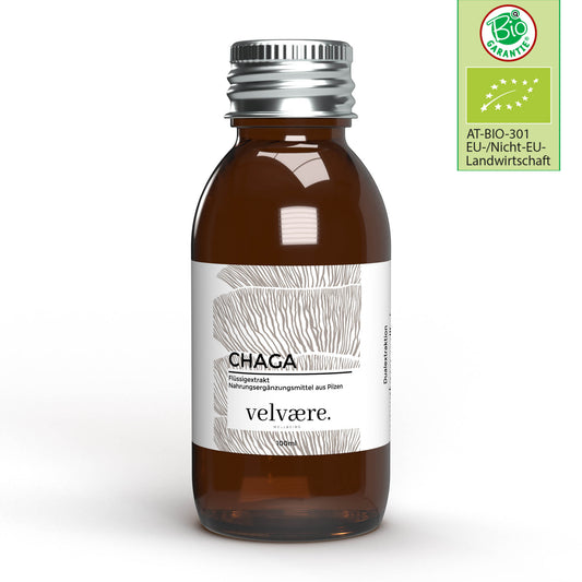 BIO Chaga Flüssigextrakt