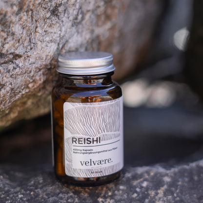 Velvaere BIO Reishi Kapseln